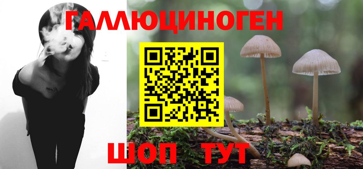 Псилоцибиновые грибы Cubensis  Вход с VPN  Северск 