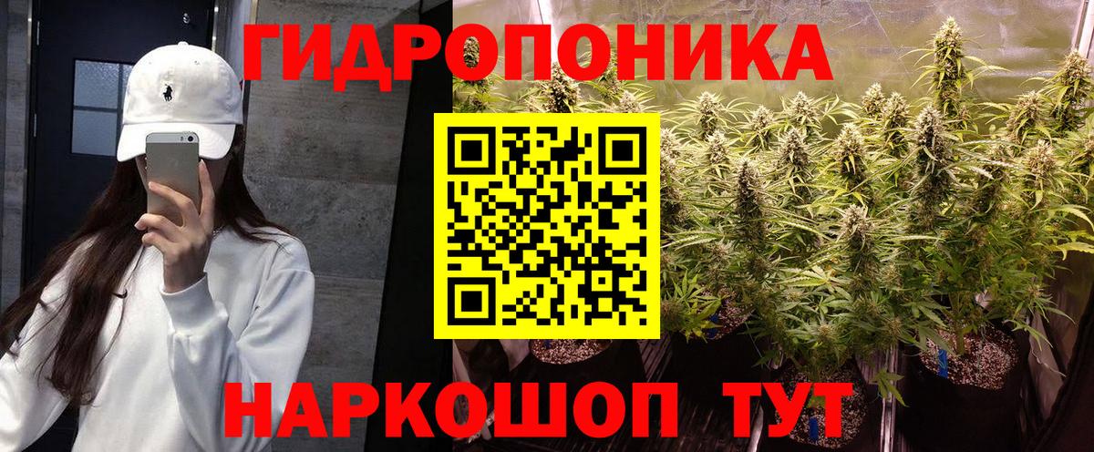 Бошки марихуана VHQ Северск